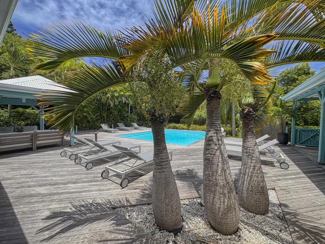 8.Location villa piscine Saint François Guadeloupe_Piscine
